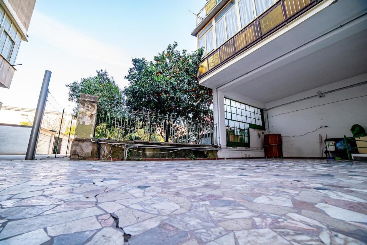 Luxury Greenhouse Napoli-Sorrento-Pompei 圣维塔利亚诺 外观 照片